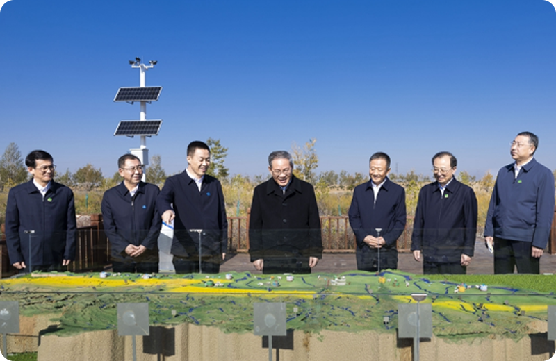 图层 12.png
