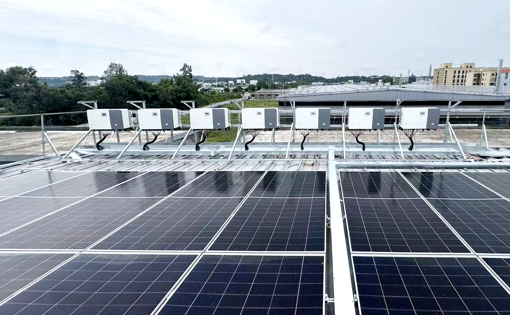 1773988980147696DTWd.jpg 20260203-134518 拷贝.jpg